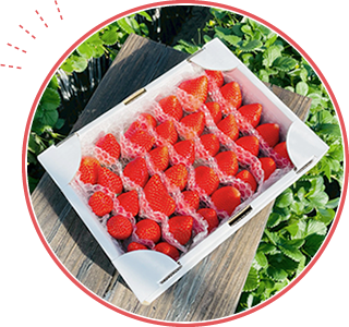 Strawberry Online Shop